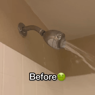 Flushing the new showerhead